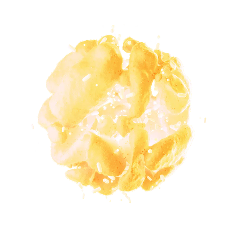 Bacillus Coagulans — البروبيوتك اللي يعيش